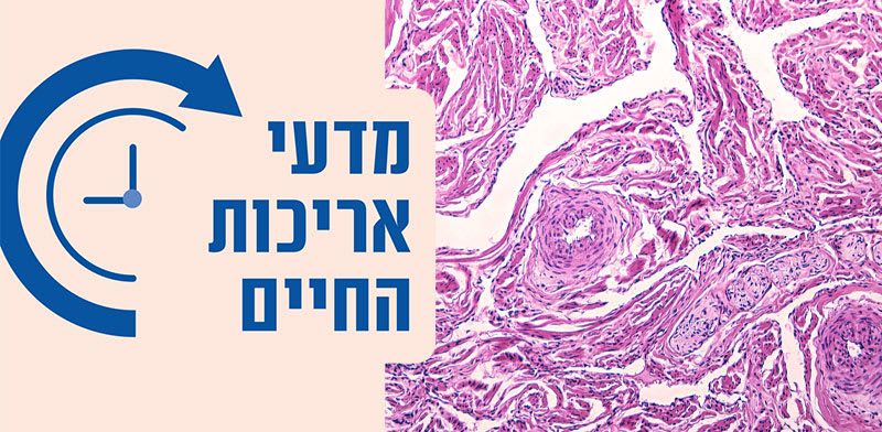 רקמת חיבור / צילום: Shutterstock