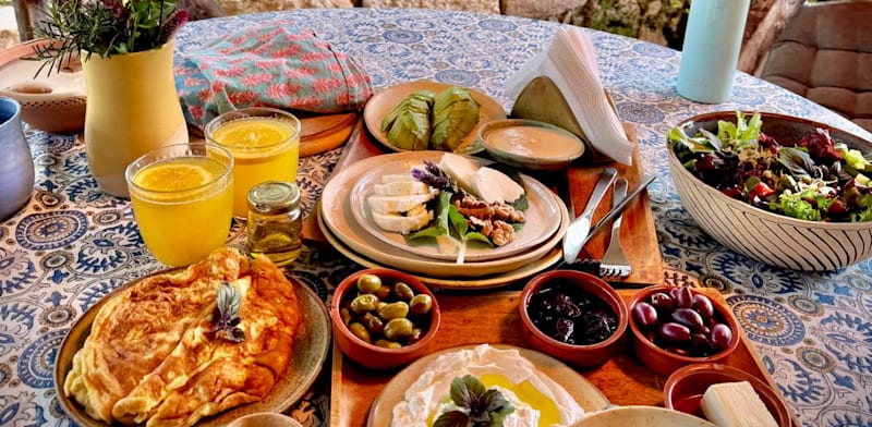 חמדתיה / צילום: קרן שביט