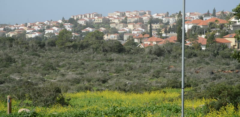 "זכרון יעקב / צילום: איל יצהר"