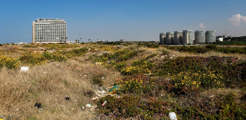 "מחירי הקרקעות נפלו ב-2023 אך עלו שוב במהלך המלחמה / צילום: שלומי יוסף"