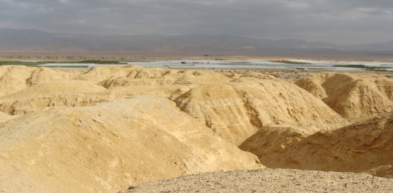 "הערבה / צילום: יח''צ"