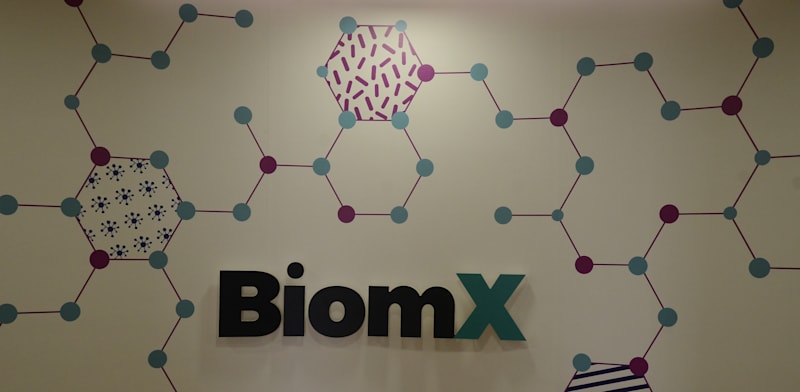 צילום: איל יצהר