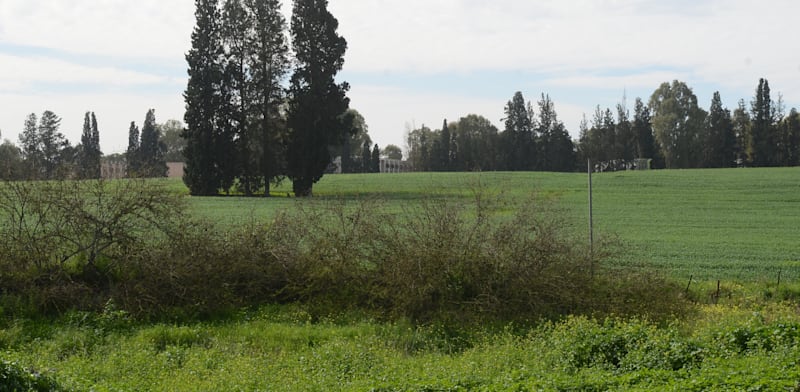 במהלך הזמן שחלף מביצוע העסקה לביצוע השומה, מחירי הקרקעות עלו / צילום: איל יצהר