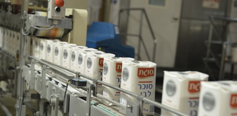 מפעל סוגת - סוכר -  קרית גת / צילום: תמר מצפי