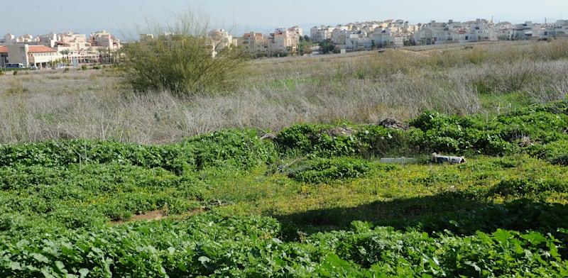 "קרקע חקלאית בגדרה. מה האינטרס הציבורי? / צילום: תמר מצפי"