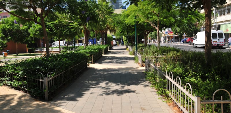 גן החשמל בת''א / צילום: תמר מצפי