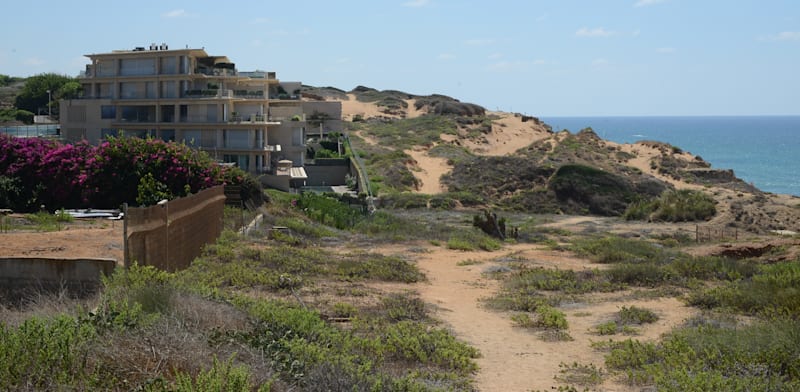 "ארסוף. חסידות גור מחזיקה קרקעות באזורים אטרקטיביים במיוחד / צילום: איל יצהר"