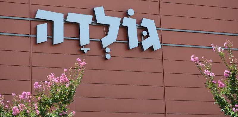 "גלידה גולדה / צילום: איל יצהר"