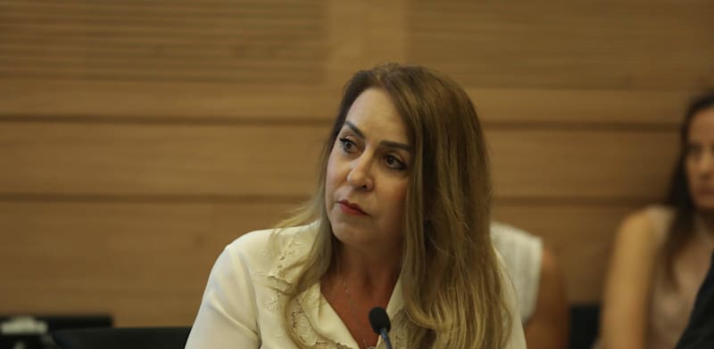 "עו"ד אורלי עדס, מנכ''לית ועדת הבחירות המרכזית / צילום: דוברות הכנסת"