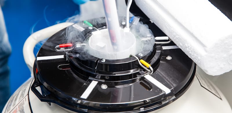 "זרע בתא הקפאה / צילום: Shutterstock, Anamaria Mejia"