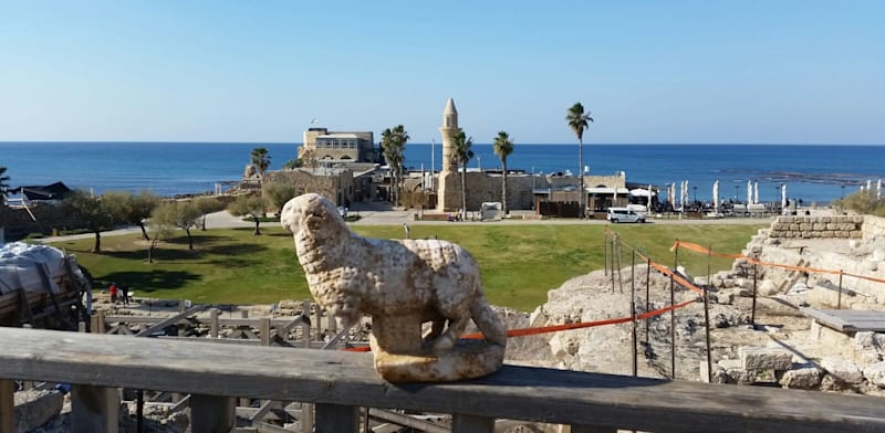 "קיסריה / צילום: ורד שריג"