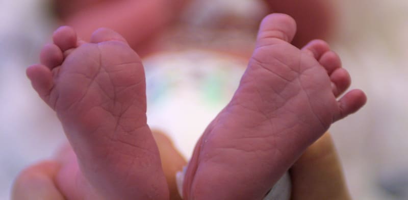 "תינוק בבית חולים / צילום: עינת לברון"