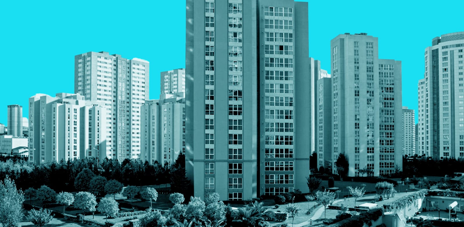 / צילום: טרציה: Shutterstock"