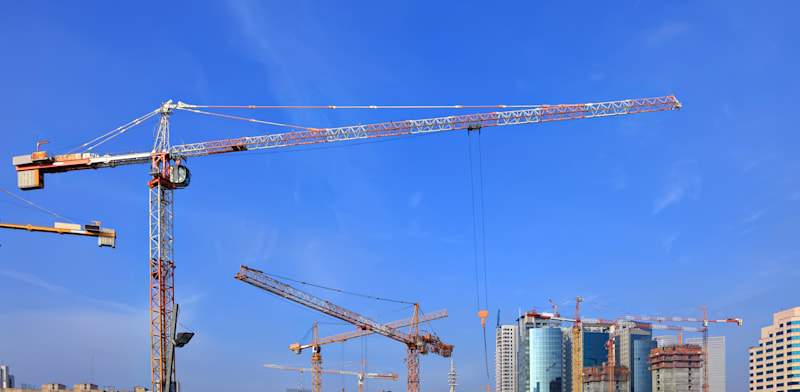 "עגורן / צילום: Shutterstock, Protasov AN"