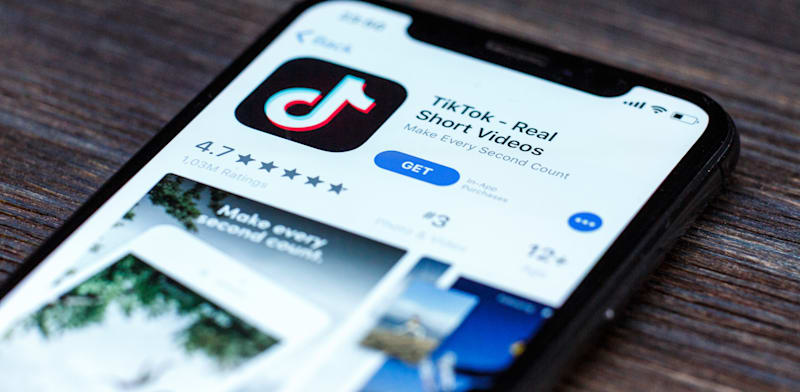 אפליקציית טיקטוק / צילום: Shutterstock, XanderSt