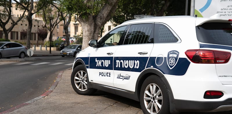 / צילום: Shutterstock, Georgy Dzyura"