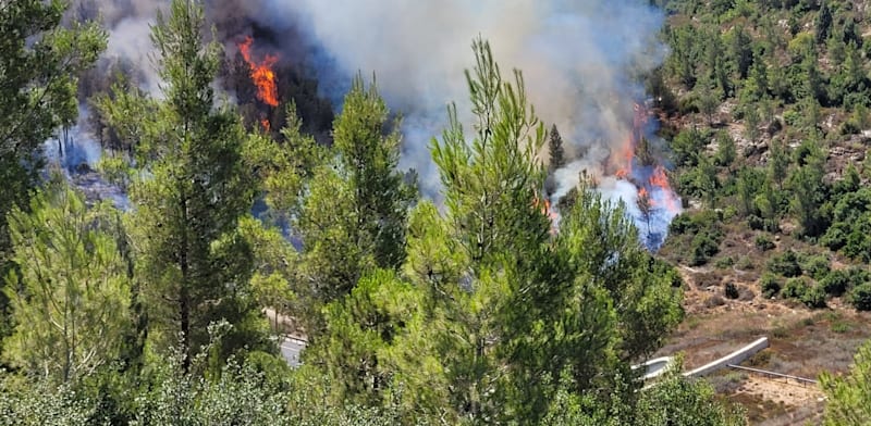 Fire in the Jerusalem Hills credit: Ariel Kedem Israel Parks and Nature Authority