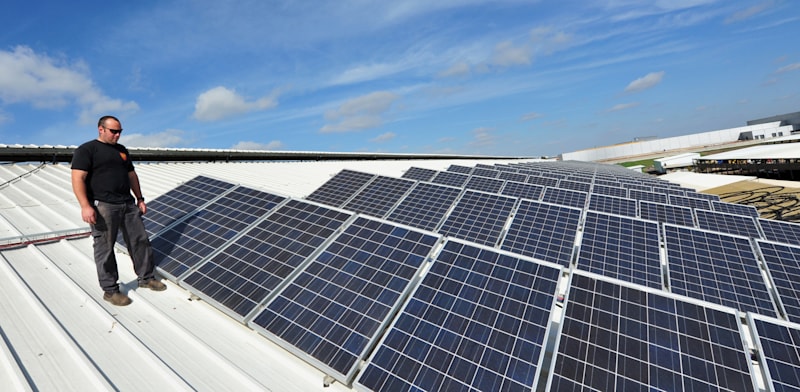 / צילום: לארי / אילוסטרציה: Shutterstock"