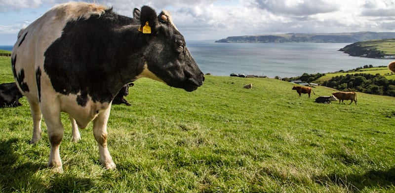 Ireland credit: Shutterstock