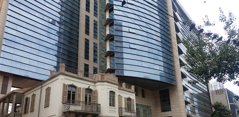 בית מאני. המוסדיים הבינו את האבסורד בדיעבד / צילום: איל יצהר