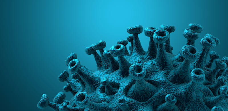 "נגיף הקורונה / צילום: Shutterstock"