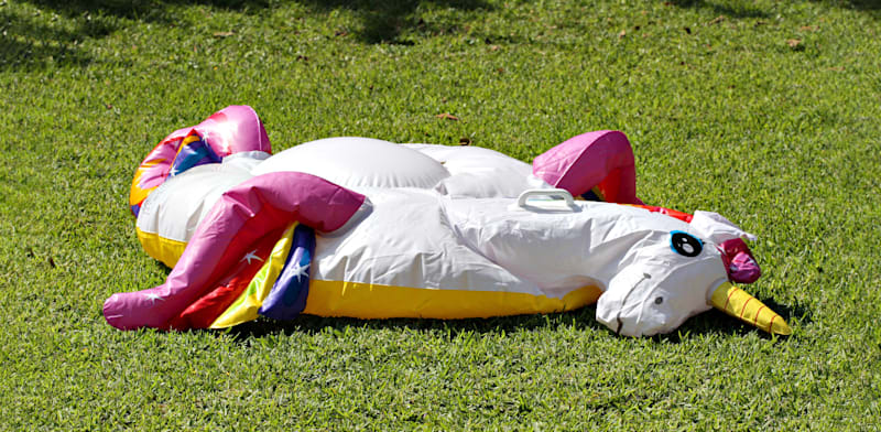 Deflated unicorn credit: Shutterstock