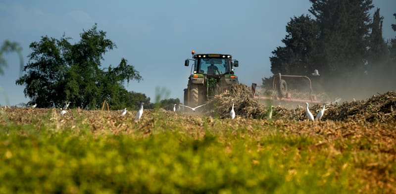 "משק חקלאי / צילום: Shutterstock"