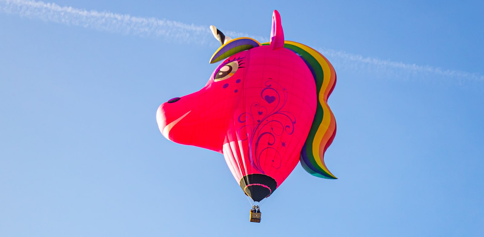 Unicorns Credit: Avon Dissanayake Shutterstock