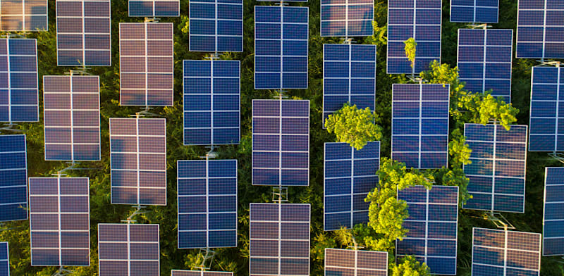 "שדה סולארי / צילום: Shutterstock, Thongsuk7824"