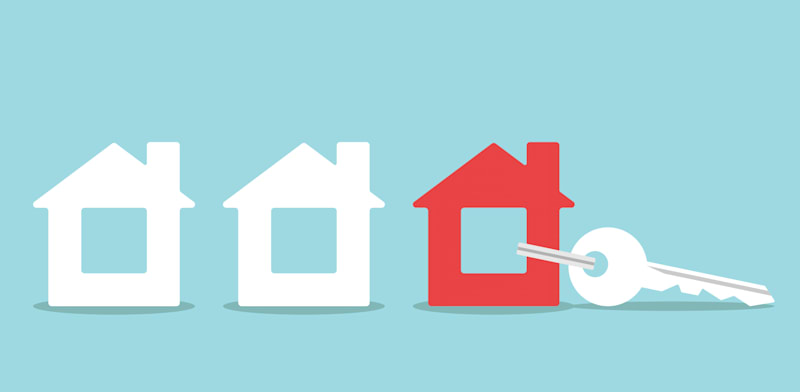 / צילום: Shutterstock, Satenik Guzhanina"