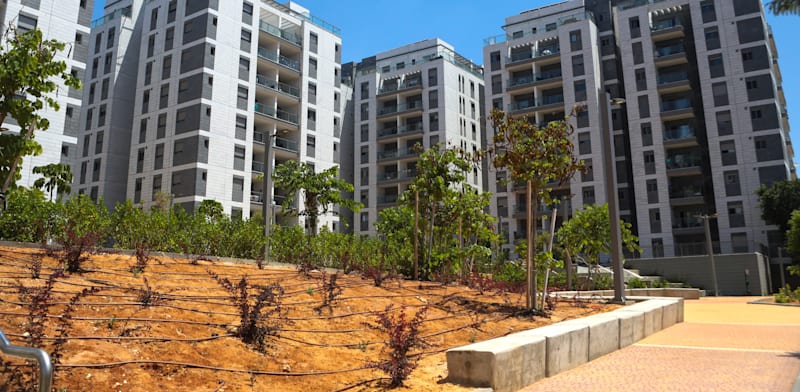 / צילום: ט הגדנ''ע בתל אביב / אילוסטרציה: שלומי יוסף"