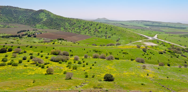 "רמת הגולן / צילום: Shutterstock, hermitis"