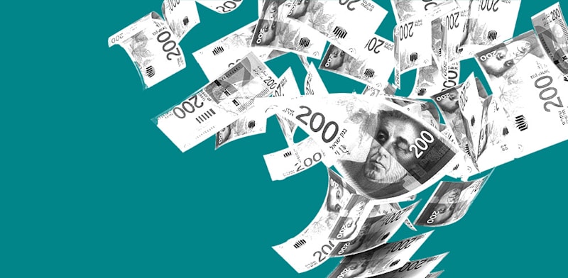 / צילום:  הון / אילוסטרציה: טלי בוגדנובסקי"