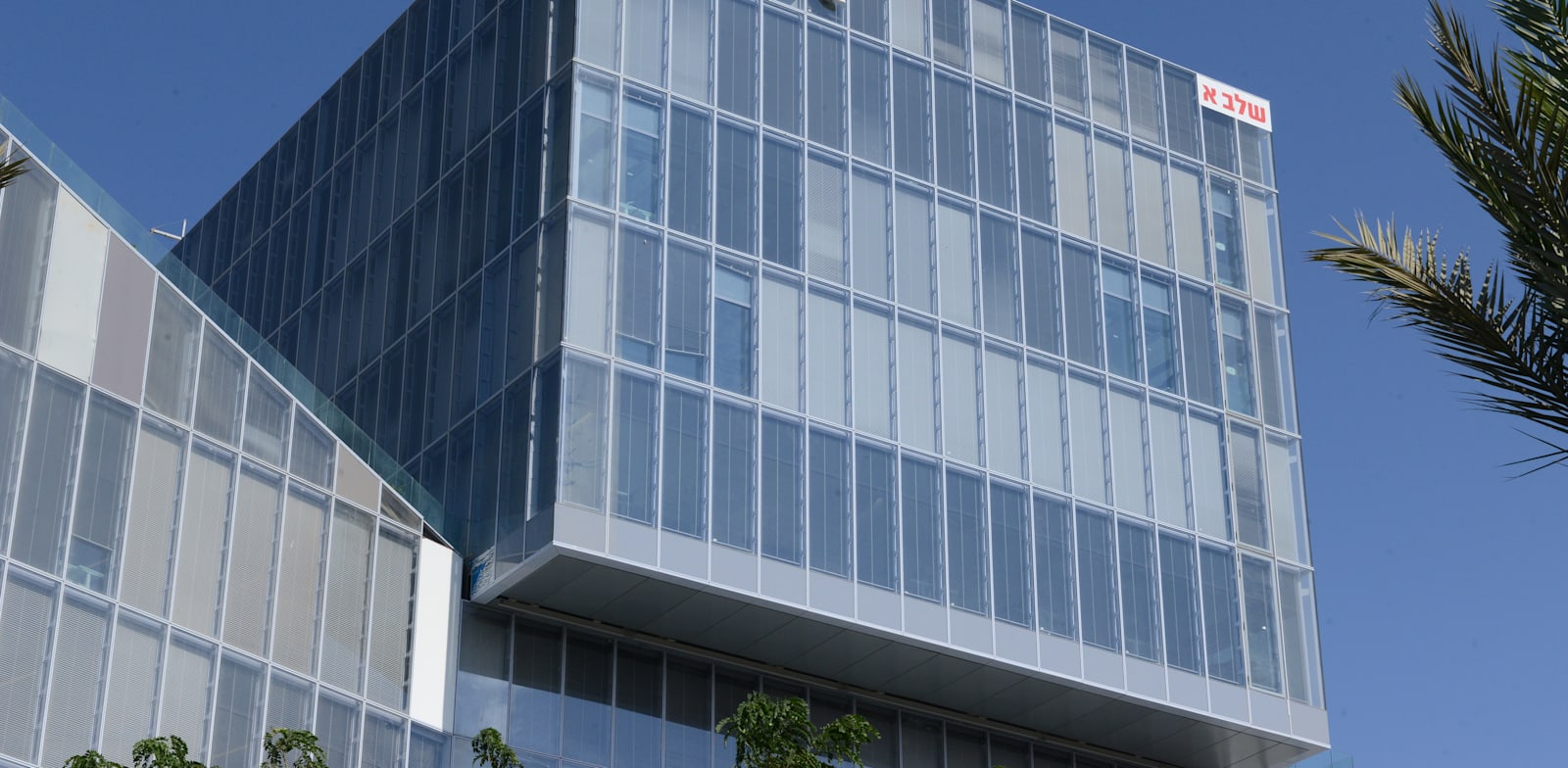 "משרדי וויקס / צילום: איל יצהר"