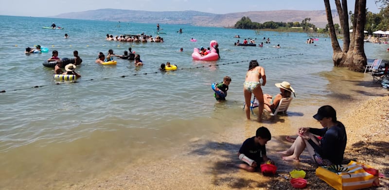 "נופשים בכנרת / צילום: טלי בר-איגוד ערים כנרת"