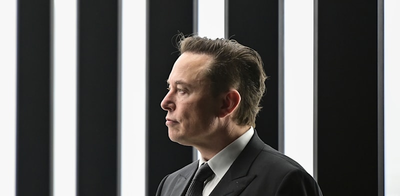 מייסד ומייסד ומנכ''ל SpaceX אילון מאסק / צילום: ap, Patrick Pleul