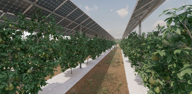 "חלקות ניסוי לדו שימוש בקרקע חקלאית / צילום: הדמיות דוראל"