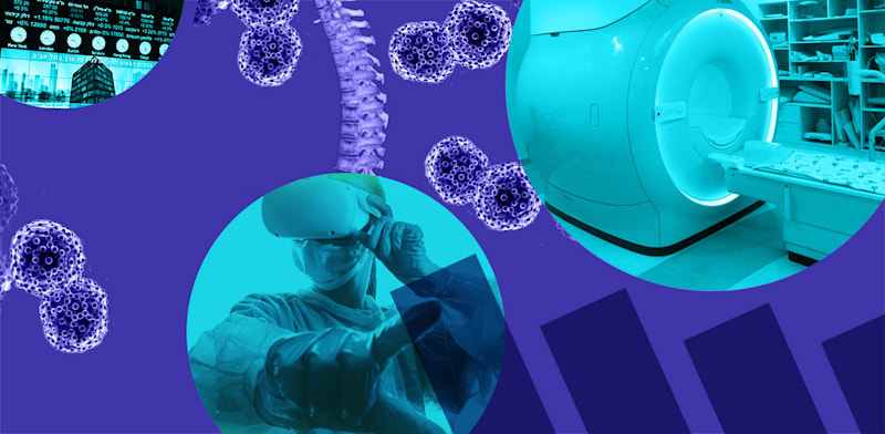 / צילום:  הביומד / צילומים: שלומי יוסף, שאטרסטוק, עיבוד: טלי בוגדנובסקי"