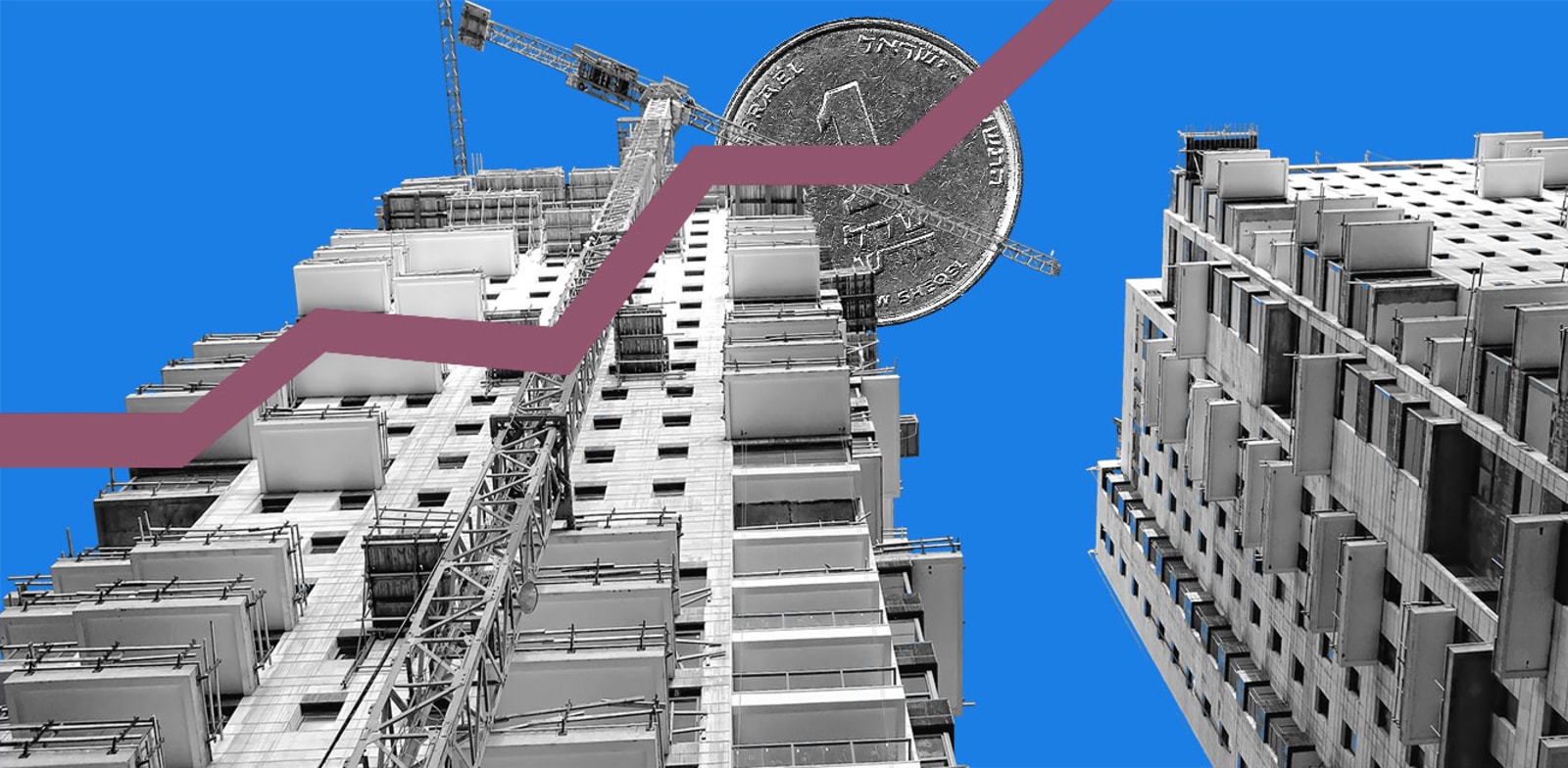 / צילום: שכנתאות בדצמבר / אילוסטרציה: טלי בוגדנובסקי"