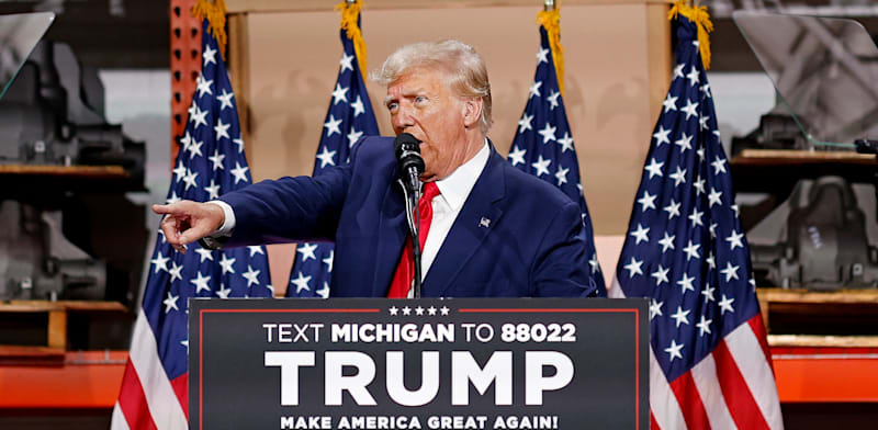 "דונלד טראמפ / צילום: ap, Mike Mulholland"