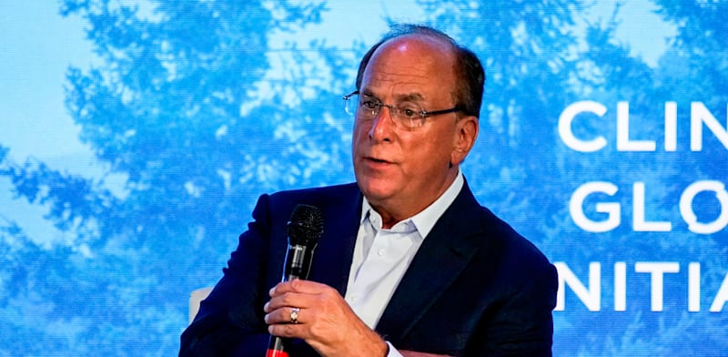 "מנכ''ל בלקרוק, לארי פינק / צילום: Associated Press, Julia Nikhinson"