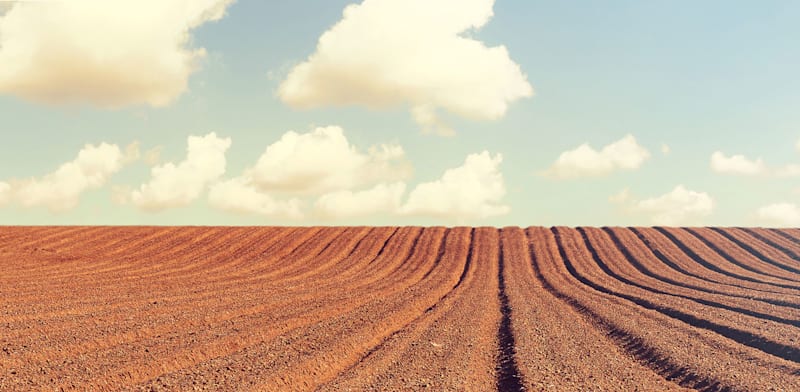 חוק מס רכוש המחודש / צילום: Shutterstock