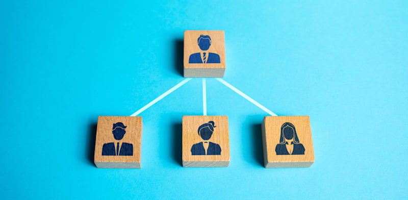 / צילום: Shutterstock, Andrii Yalanskyi"