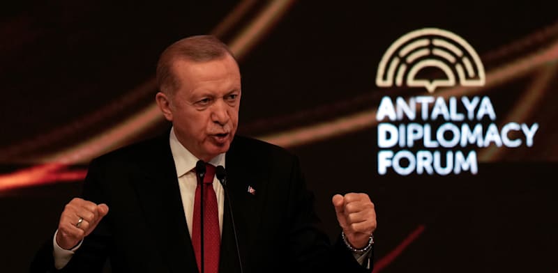 "רג'פ טאיפ ארדואן, נשיא טורקיה / צילום: ap, Khalil Hamra"