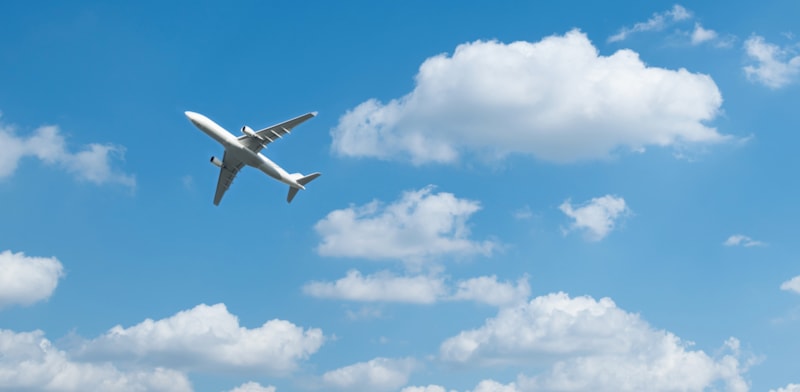 מדיניות של חברות התעופה / צילום: Shutterstock