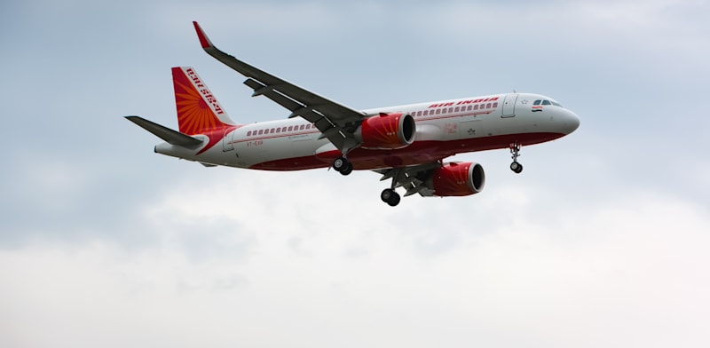 "מטוס של אייר אינדיה / צילום: Shutterstock"