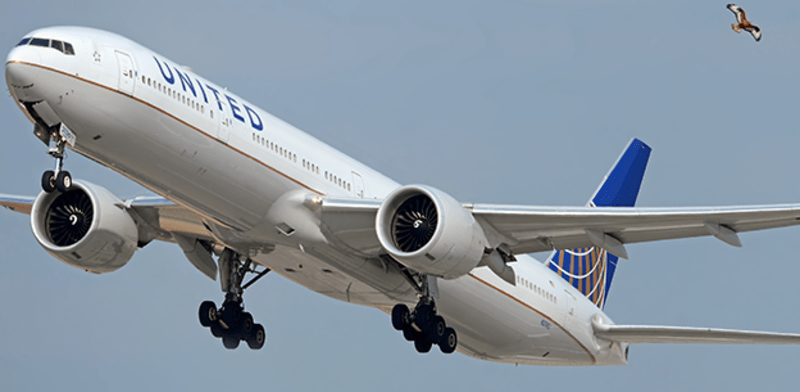 "מטוס של יונייטד איירליינס / צילום: Shutterstock, Felix Tchvertkin"