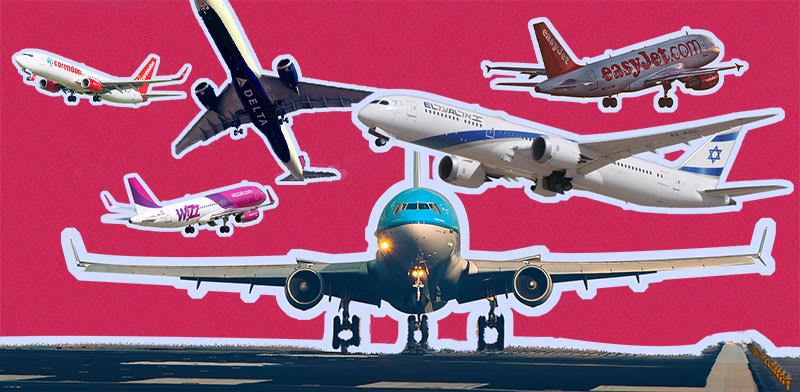 אילוסטרציה: טלי בוגדנובסקי; צילומים: דני שדה, Shutterstock