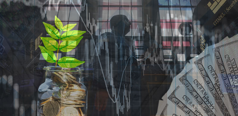 / צילום: : טלי בוגדנובסקי, צילומים: AP, Shutterstock"