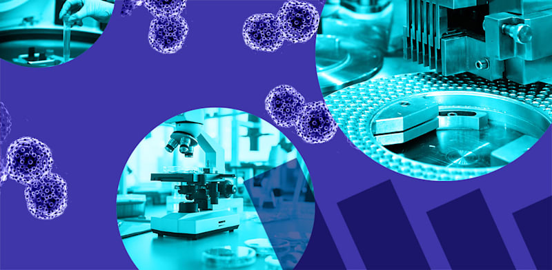 / צילום: : טלי בוגדנובסקי, חומרים: Shutterstock"